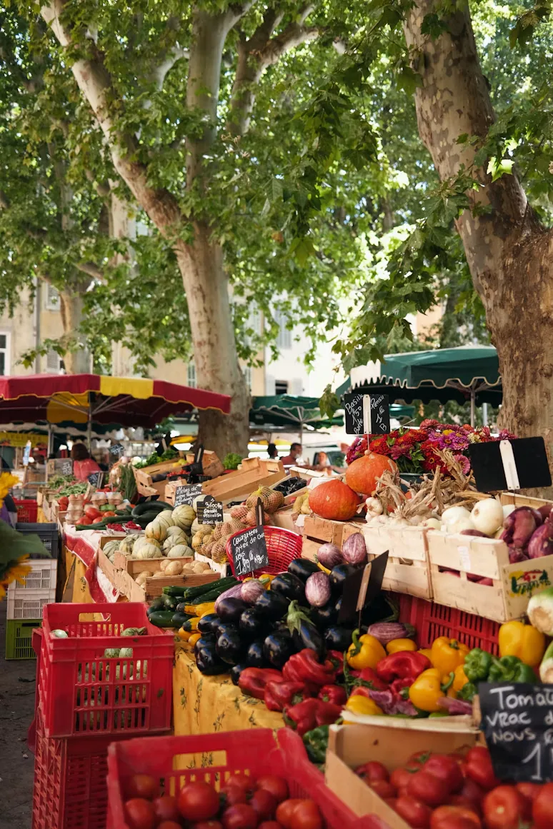 Provençal market stalls of fruit and vegetables under plane trees