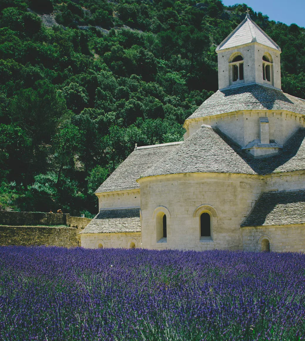 Sénanque Abbey rising above a lavender field