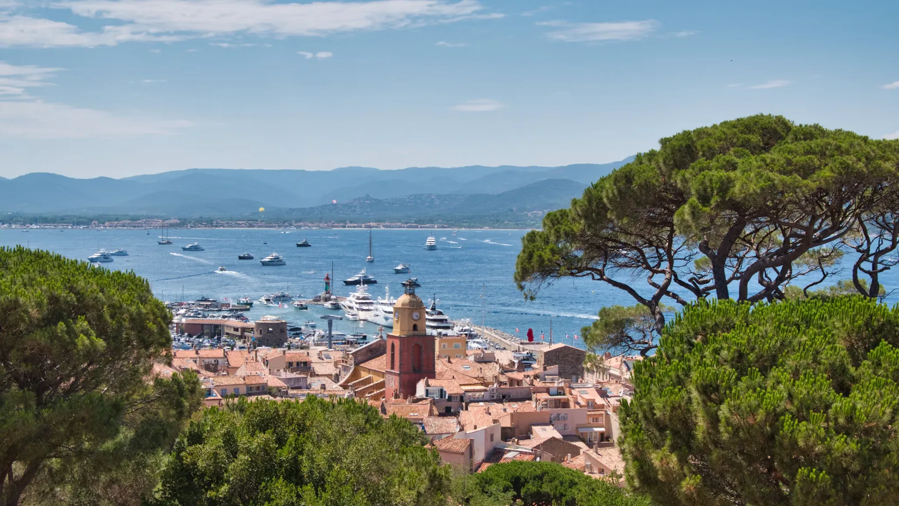 Saint-Tropez old town and bay framed by pine trees